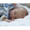 LYDIA "THE CRADLE KIT" (20'), plaque ventrale et body inclus