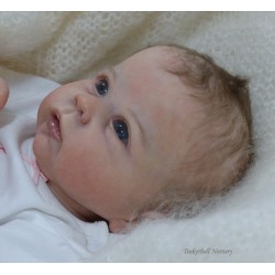 CATRIN "THE CRADLE KIT" (20'), plaque ventrale et body inclus