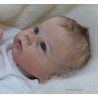 CATRIN "THE CRADLE KIT" (20'), plaque ventrale et body inclus