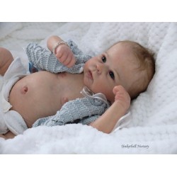 CATRIN "THE CRADLE KIT" (20'), plaque ventrale et body inclus