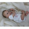 CATRIN "THE CRADLE KIT" (20'), plaque ventrale et body inclus