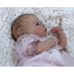 CATRIN "THE CRADLE KIT" (20'), plaque ventrale et body inclus