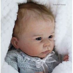 CATRIN "THE CRADLE KIT" (20'), plaque ventrale et body inclus