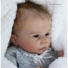 CATRIN "THE CRADLE KIT" (20'), plaque ventrale et body inclus