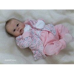 CATRIN "THE CRADLE KIT" (20'), plaque ventrale et body inclus