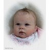 CATRIN "THE CRADLE KIT" (20'), plaque ventrale et body inclus