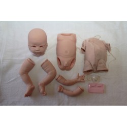 DANI "THE CRADLE KIT" (20'), body et torso inclus