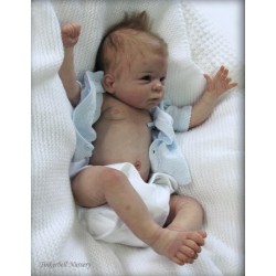 DANI "THE CRADLE KIT" (20'), body et torso inclus