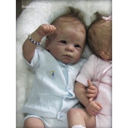 DANI "THE CRADLE KIT" (20'), body et torso inclus