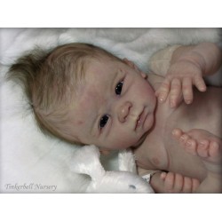 DANI "THE CRADLE KIT" (20'), body et torso inclus