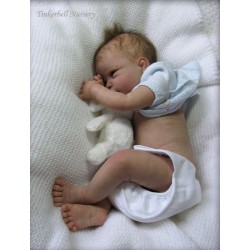 DANI "THE CRADLE KIT" (20'), body et torso inclus