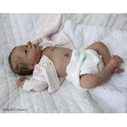 LILY "THE CRADLE KIT" (20'),  body inclus