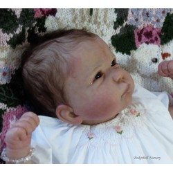 LILY "THE CRADLE KIT" (20'),  body inclus