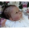 LILY "THE CRADLE KIT" (20'),  body inclus