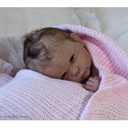 LILY "THE CRADLE KIT" (20'),  body inclus