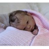 LILY "THE CRADLE KIT" (20'),  body inclus