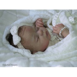 PENNY "THE CRADLE KIT" (19'),  body et plaque ventrale inclus