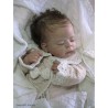 PENNY "THE CRADLE KIT" (19'),  body et plaque ventrale inclus