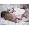 PENNY "THE CRADLE KIT" (19'),  body et plaque ventrale inclus