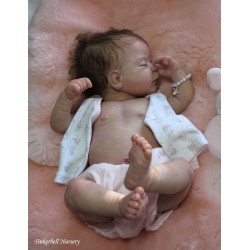 PENNY "THE CRADLE KIT" (19'),  body et plaque ventrale inclus