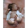PENNY "THE CRADLE KIT" (19'),  body et plaque ventrale inclus
