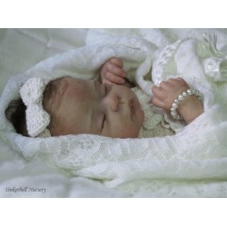 PENNY "THE CRADLE KIT" (19'),  body et plaque ventrale inclus