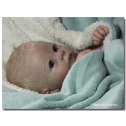 HARRY "THE CRADLE KIT" (20'), body et torso inclus