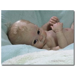 HARRY "THE CRADLE KIT" (20'), body et torso inclus