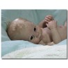 HARRY "THE CRADLE KIT" (20'), body et torso inclus