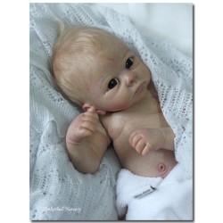 HARRY "THE CRADLE KIT" (20'), body et torso inclus