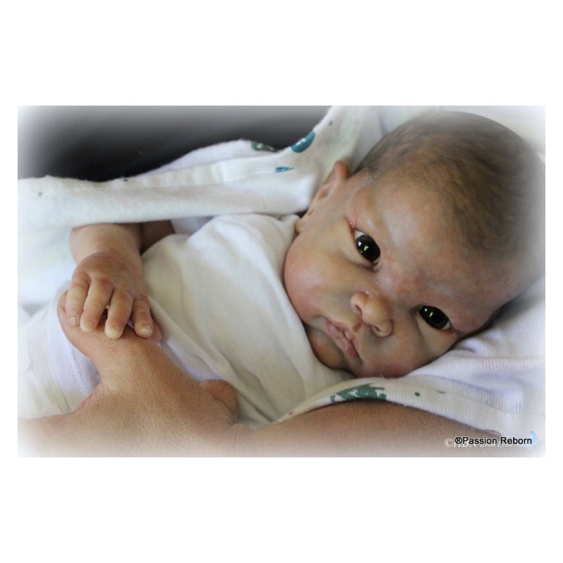 Kit reborn FEI YEN (22') de Cindy Musgrove